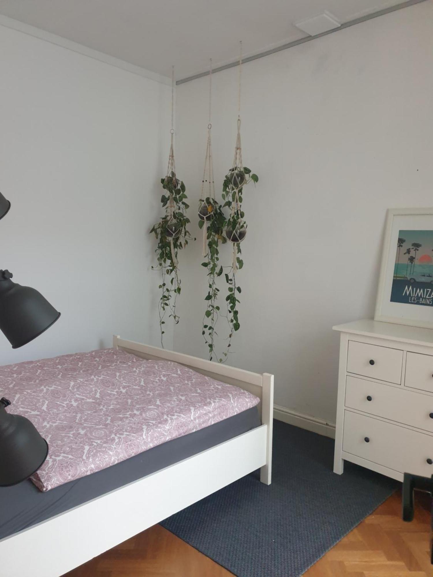 @Salland Zwolle  Zimmer foto